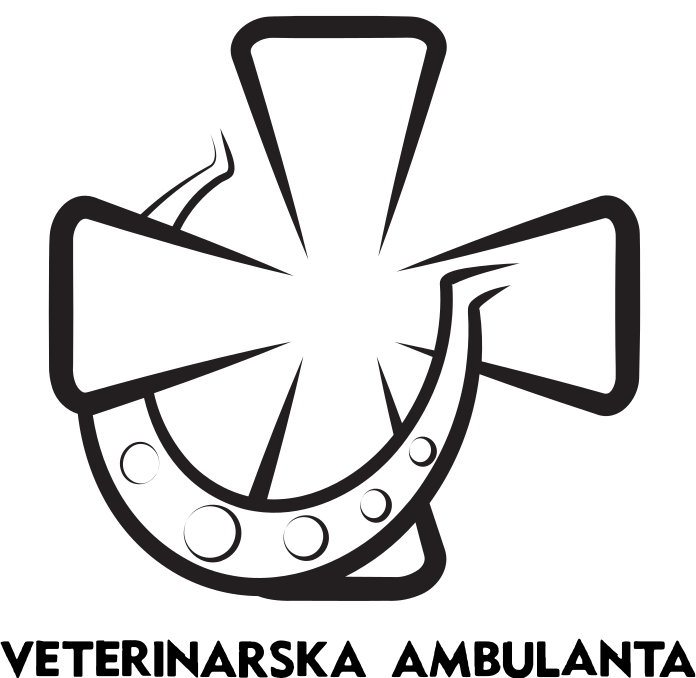 12_ambulanta KAKO SE U OBOROVU POMAGALO KONJIMA?