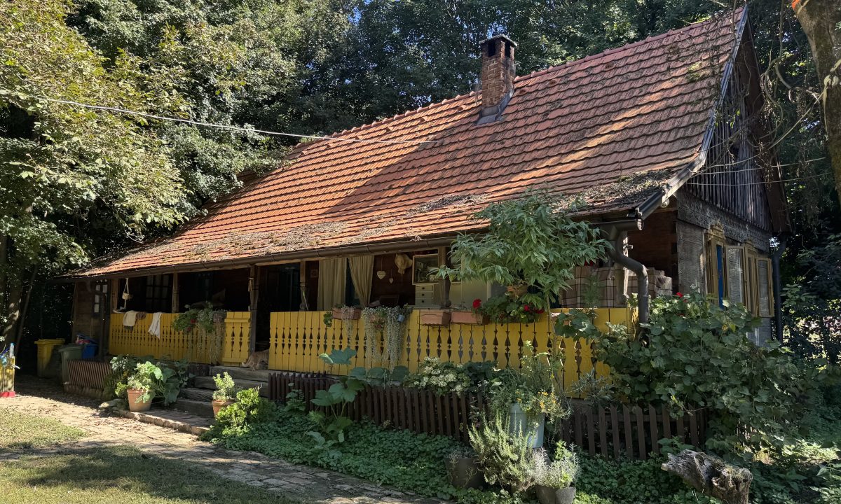Mapiranje i dokumentacija tradicijske arhitekture na posavskom području Ivanić-Grada